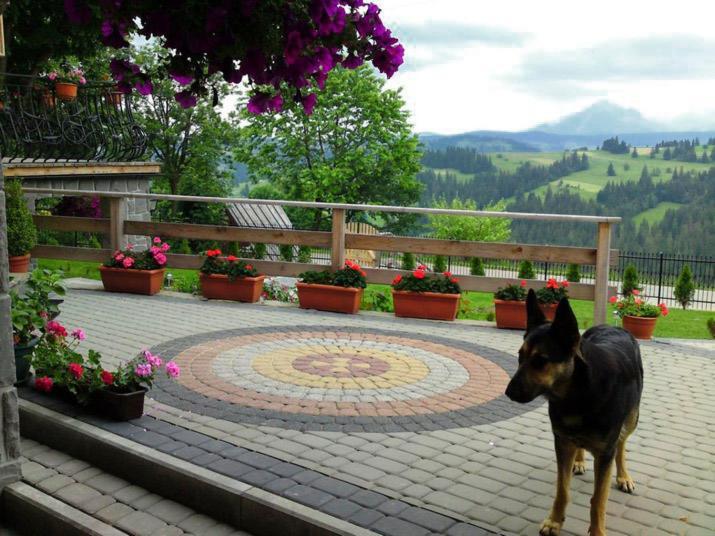 Goralska Chata Bustryk Exterior photo